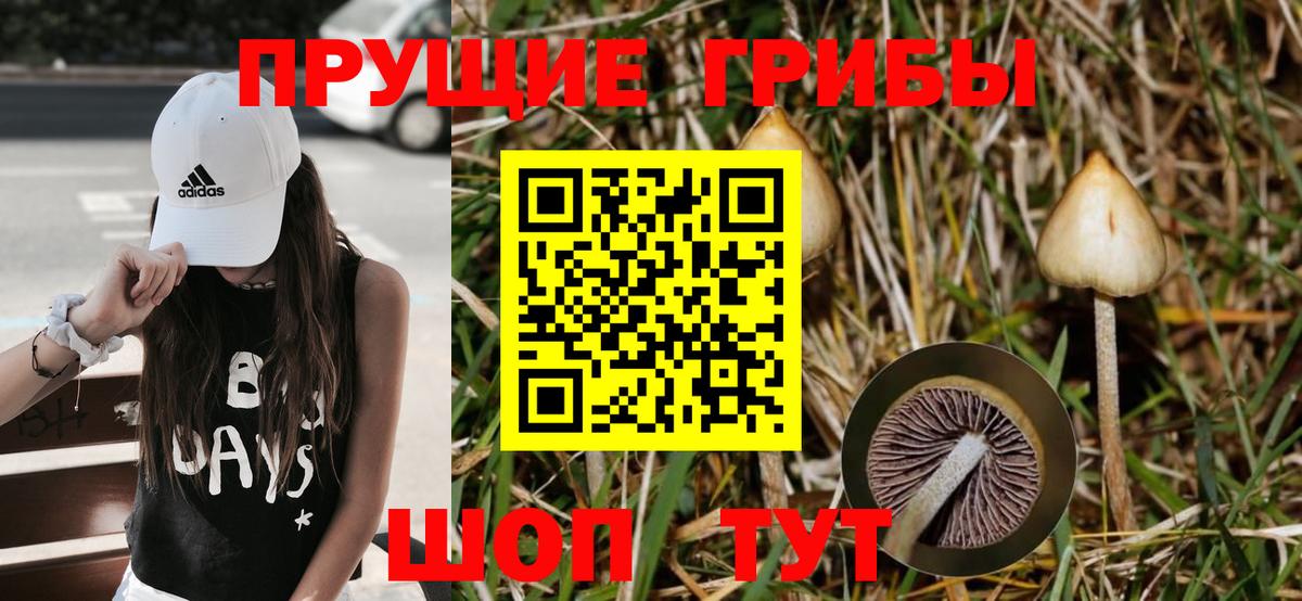 Галлюциногенные грибы ЛСД Ревда