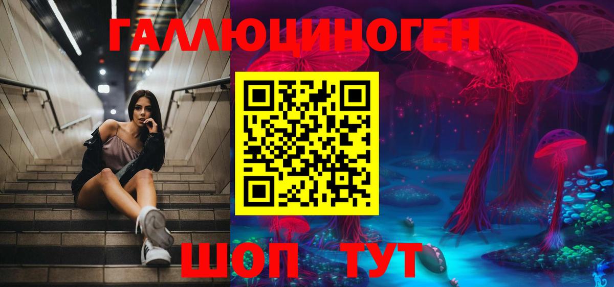 купить  сайты  Вход с VPN  Ревда  Галлюциногенные грибы Psilocybe 